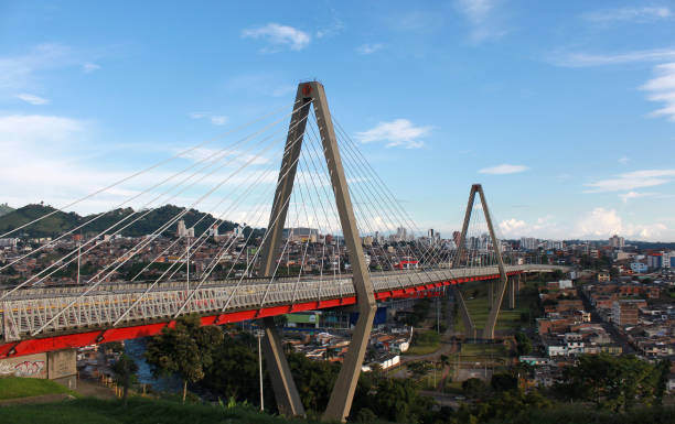 pereira-viaducto